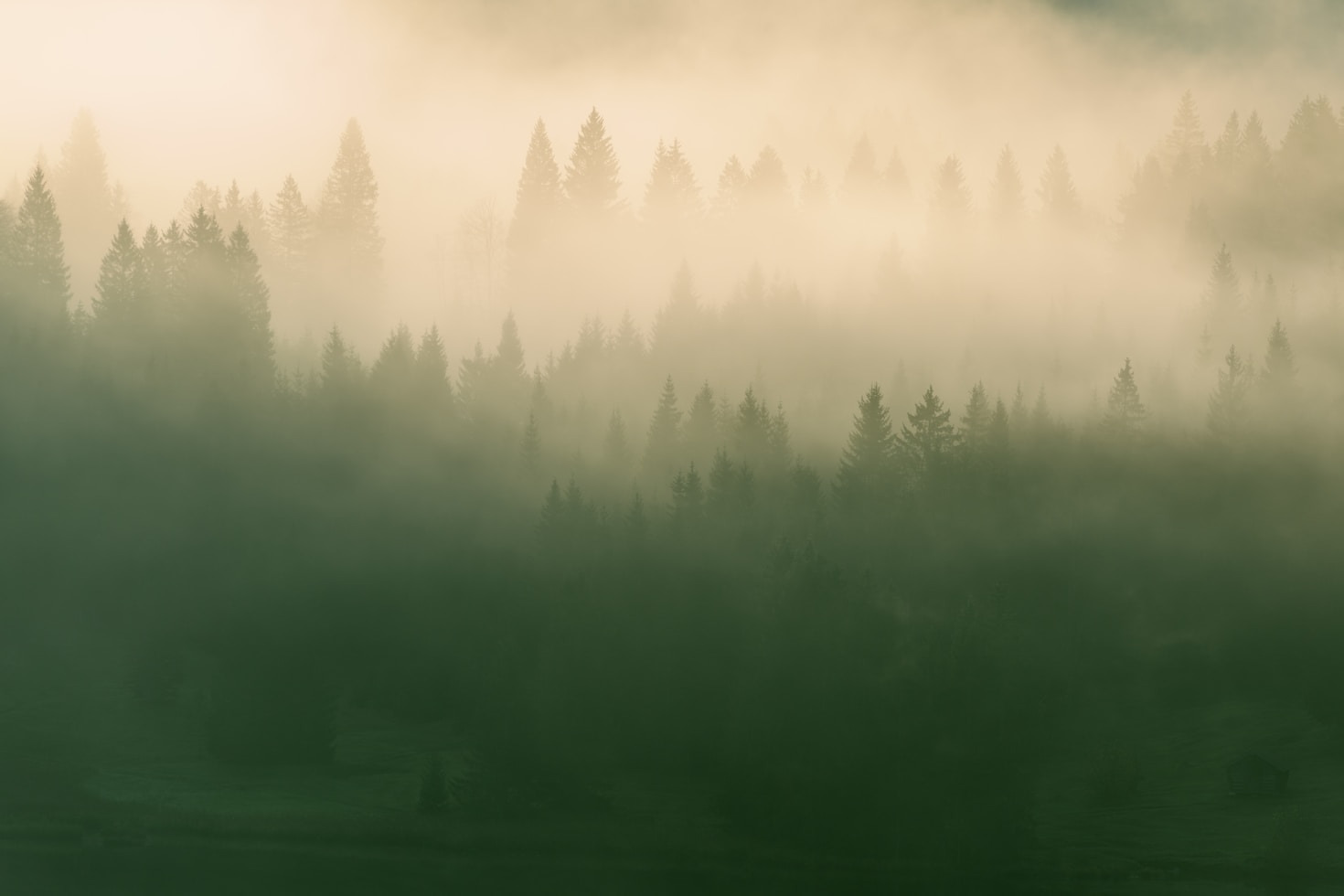 Top Five Sauna Destinations Across Europe