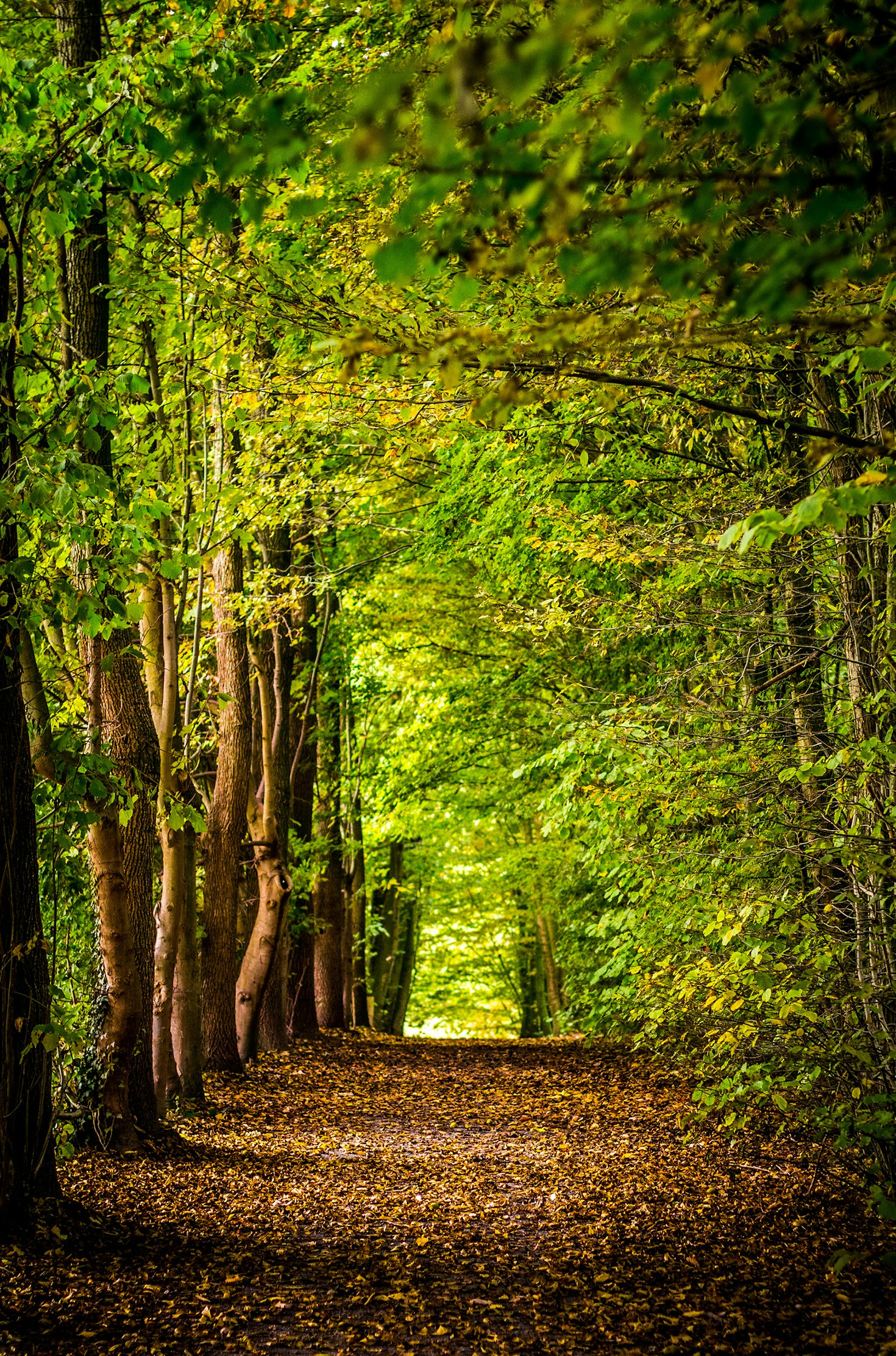 Finding Balance While Traveling Abroad Alone